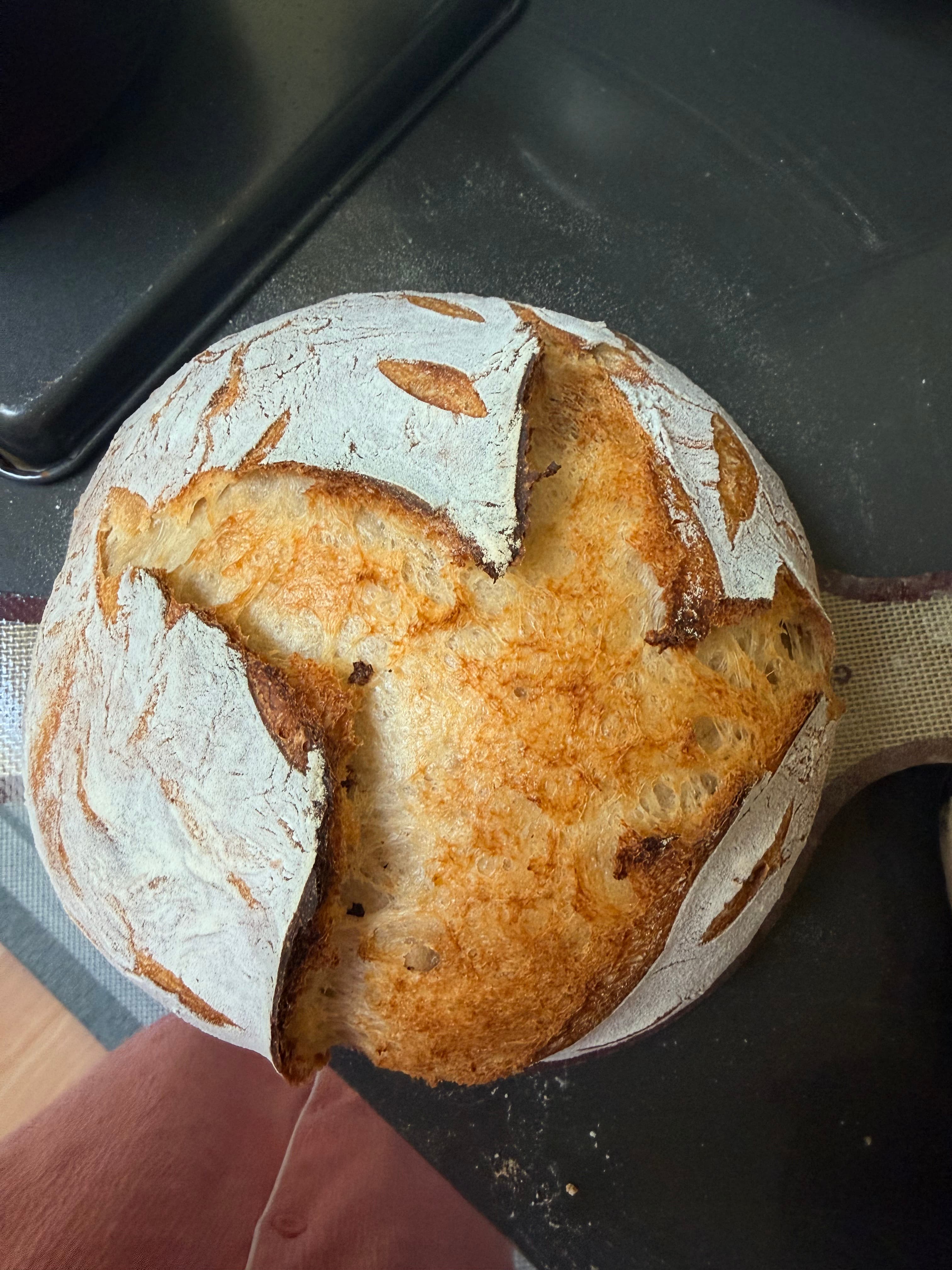 Sourdough loaf with strong bloom