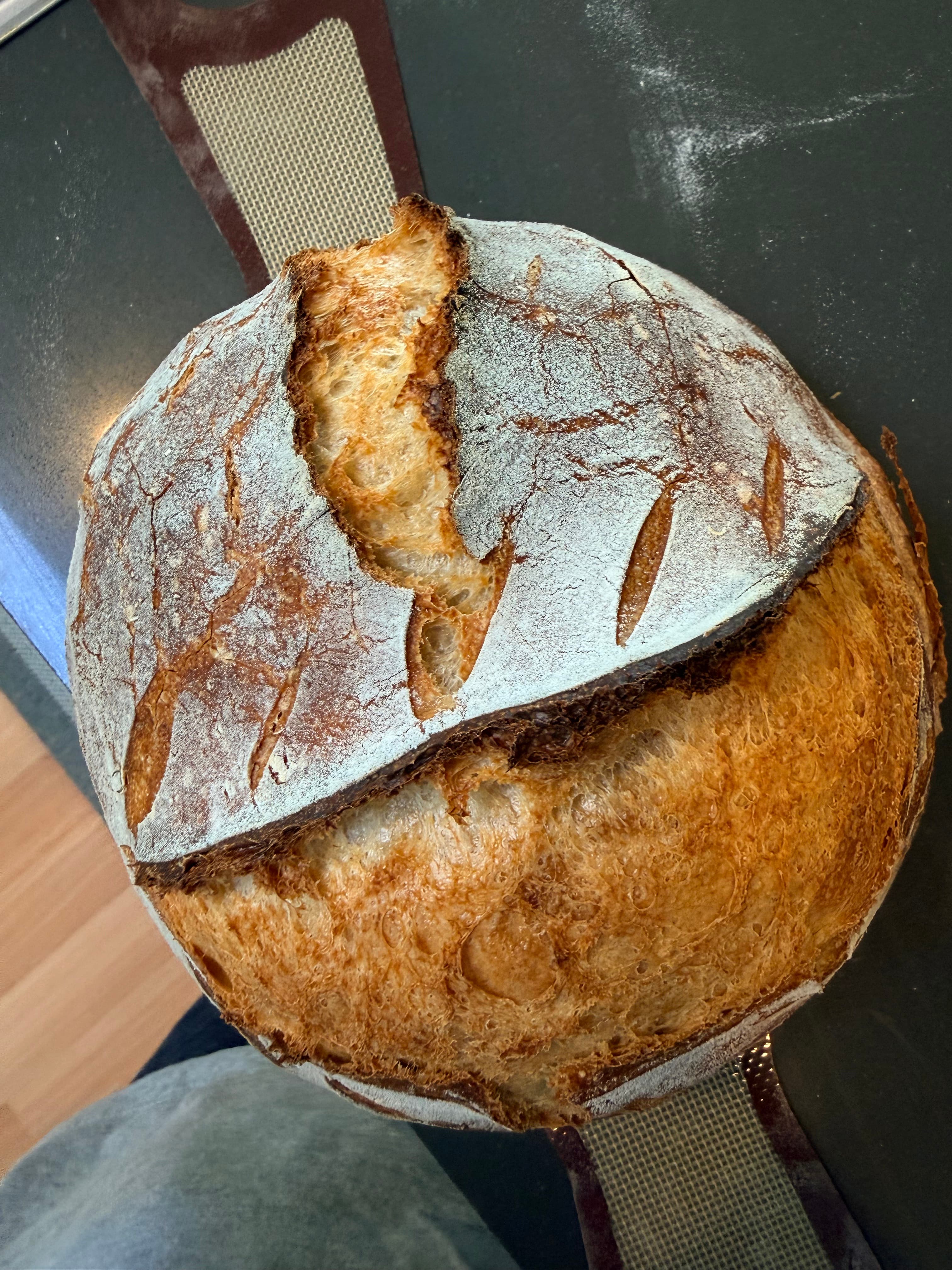 Flour-dusted scored sourdough loaf